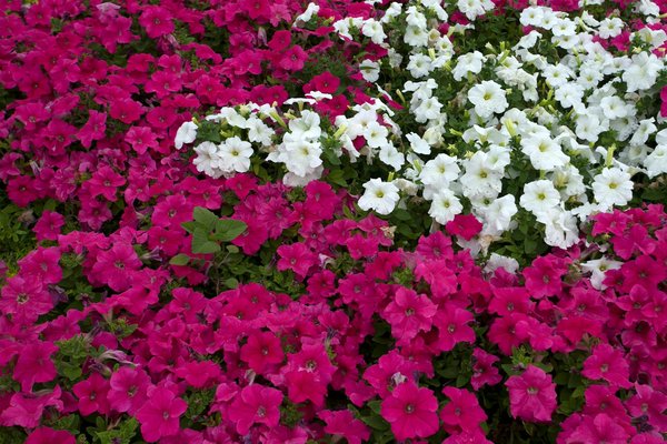 Audit énergétique monopropriété : boostez votre investissement !