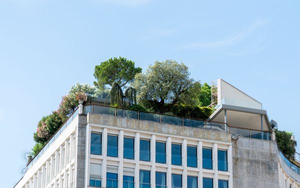 Toits Verts en Ville : Bénéfices et Limites à Considérer